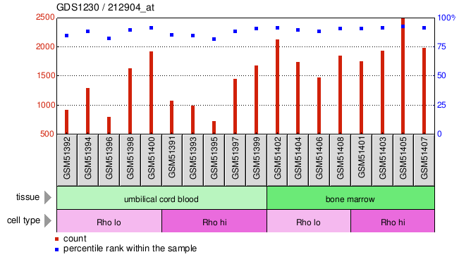 Gene Expression Profile