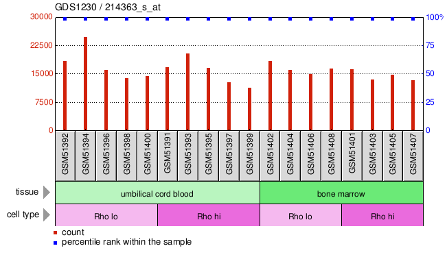 Gene Expression Profile