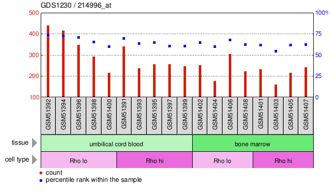 Gene Expression Profile