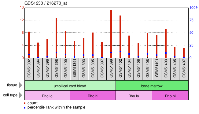 Gene Expression Profile