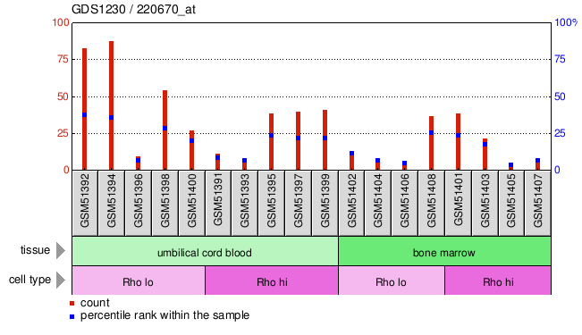 Gene Expression Profile