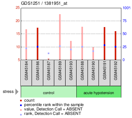 Gene Expression Profile