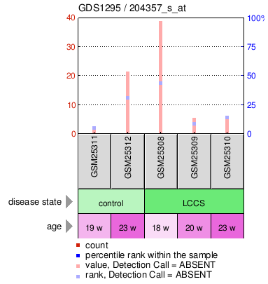 Gene Expression Profile