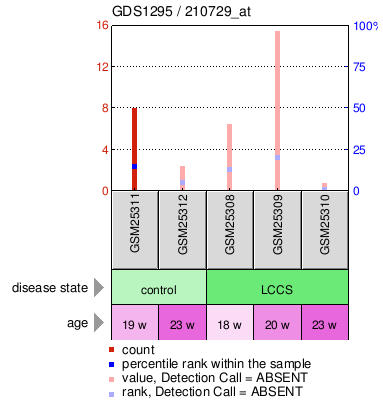 Gene Expression Profile