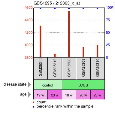 Gene Expression Profile