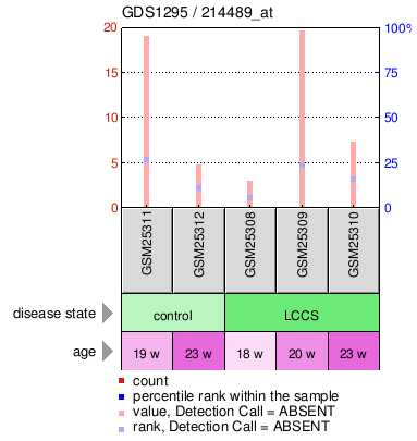 Gene Expression Profile