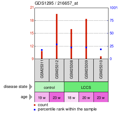 Gene Expression Profile