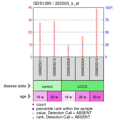 Gene Expression Profile