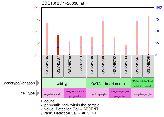 Gene Expression Profile