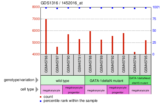 Gene Expression Profile