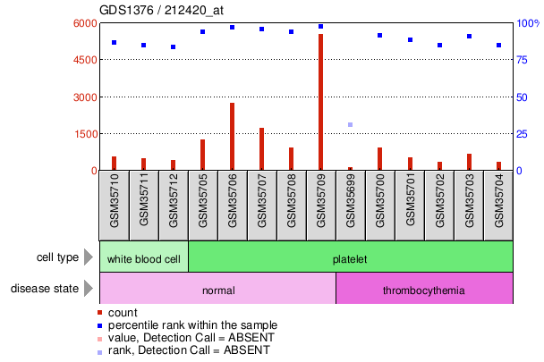 Gene Expression Profile