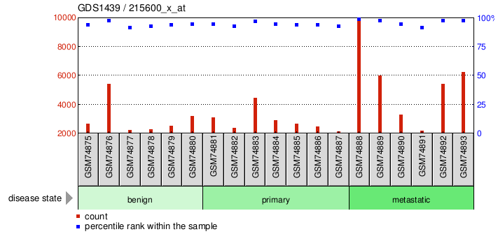 Gene Expression Profile