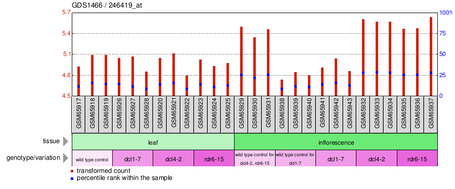 Gene Expression Profile