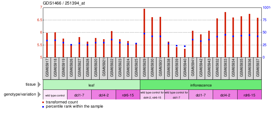 Gene Expression Profile