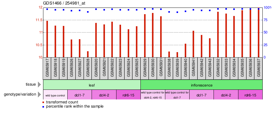 Gene Expression Profile