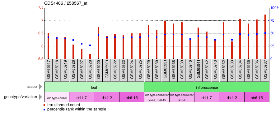 Gene Expression Profile