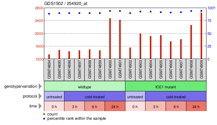 Gene Expression Profile