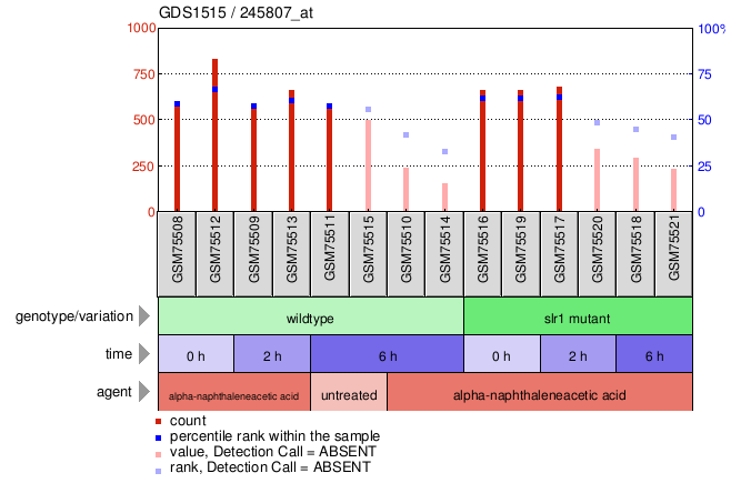 Gene Expression Profile