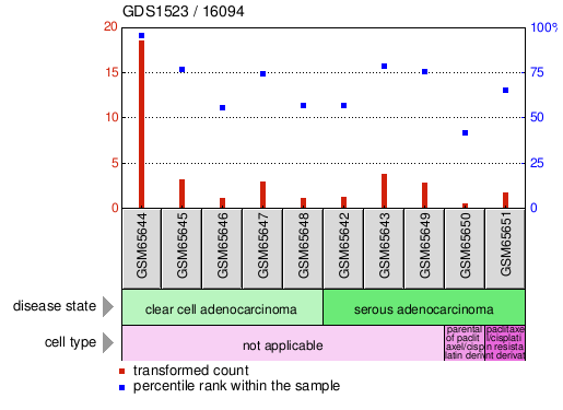 Gene Expression Profile