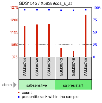 Gene Expression Profile