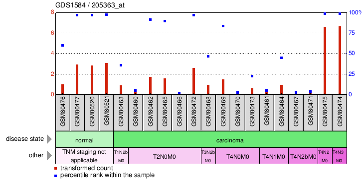 Gene Expression Profile