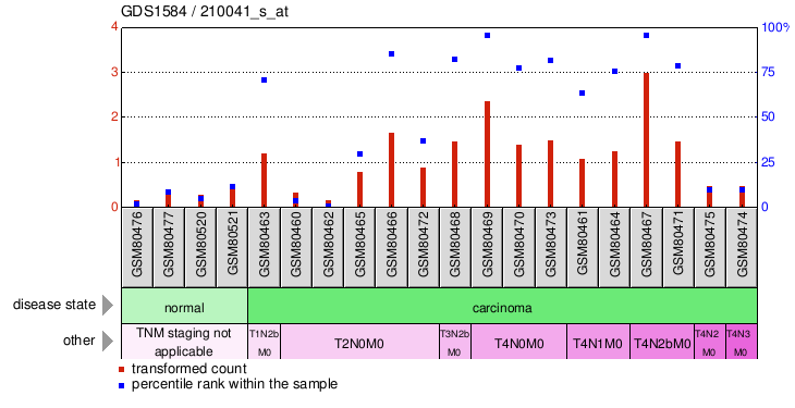 Gene Expression Profile