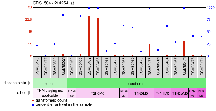 Gene Expression Profile