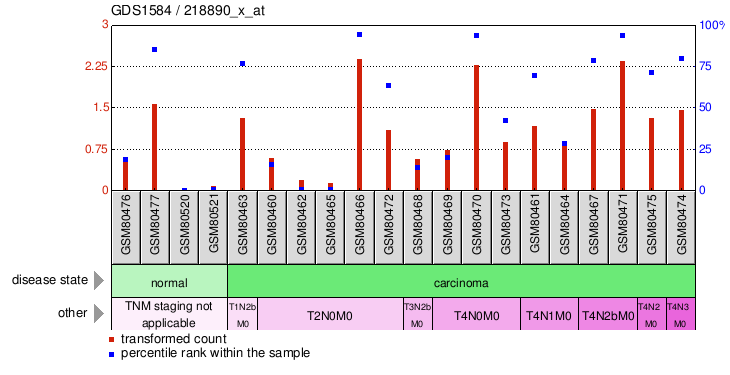 Gene Expression Profile