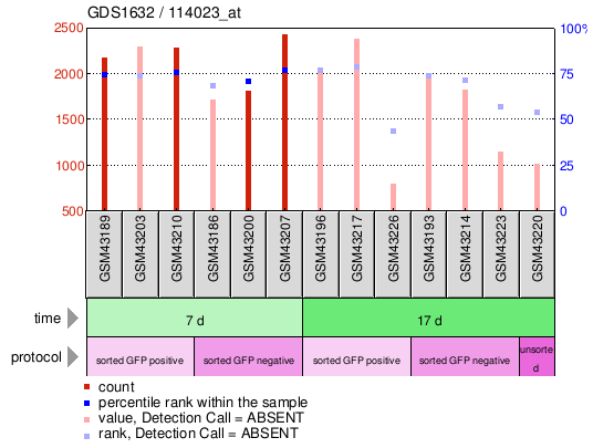 Gene Expression Profile