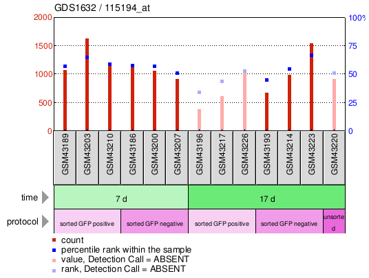 Gene Expression Profile