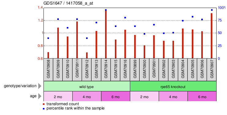 Gene Expression Profile