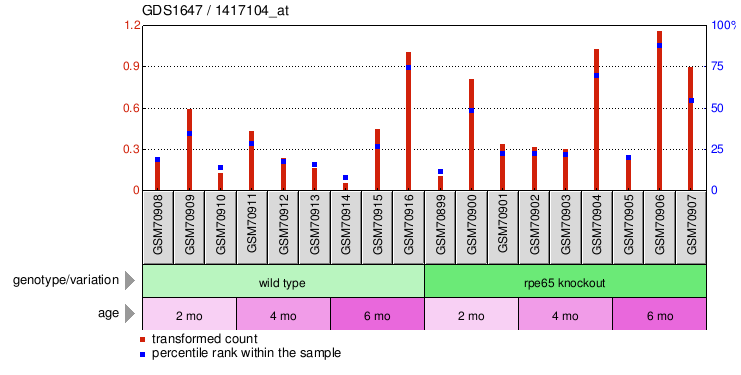 Gene Expression Profile