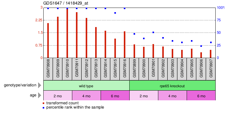 Gene Expression Profile