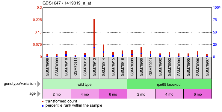 Gene Expression Profile