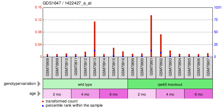 Gene Expression Profile