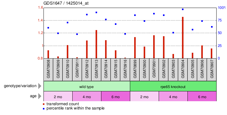 Gene Expression Profile