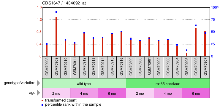 Gene Expression Profile