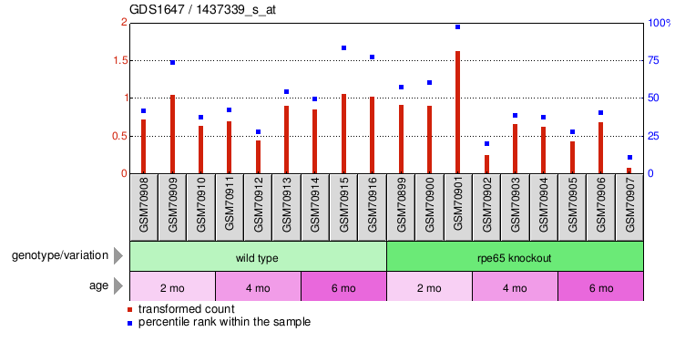 Gene Expression Profile