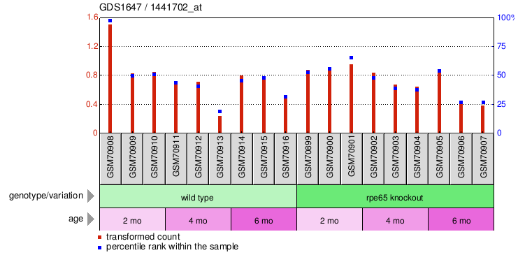 Gene Expression Profile