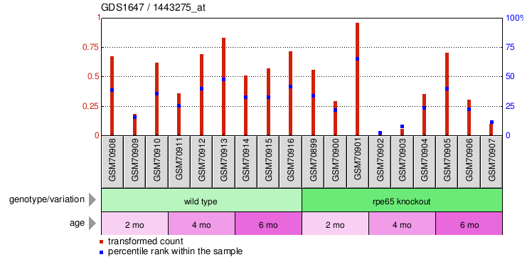 Gene Expression Profile