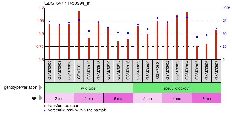 Gene Expression Profile