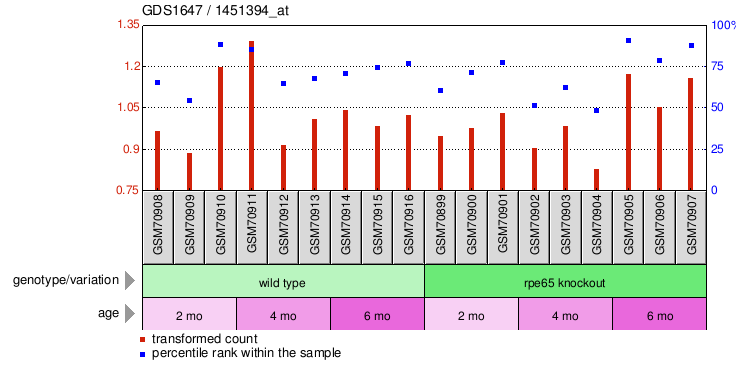 Gene Expression Profile