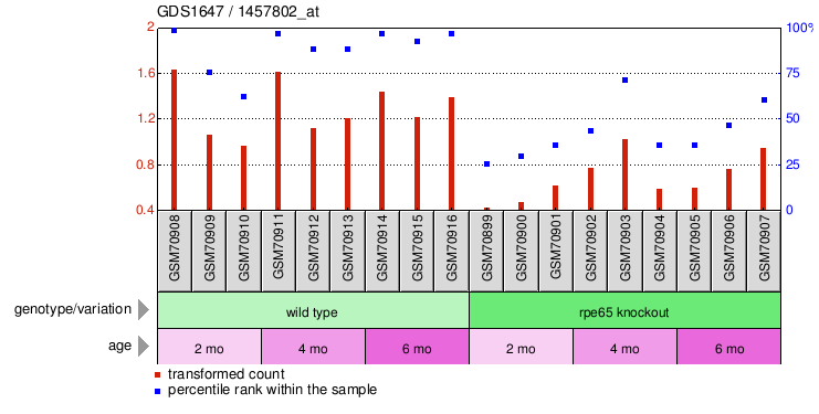 Gene Expression Profile