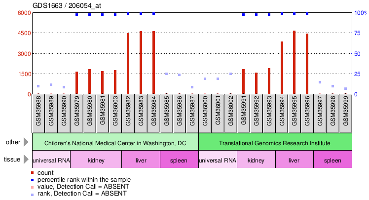 Gene Expression Profile