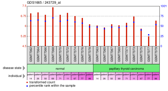 Gene Expression Profile