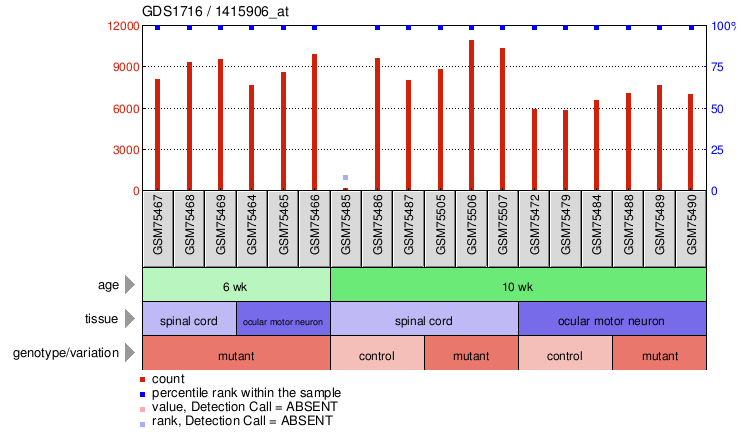 Gene Expression Profile