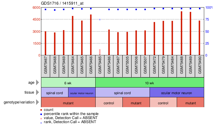 Gene Expression Profile