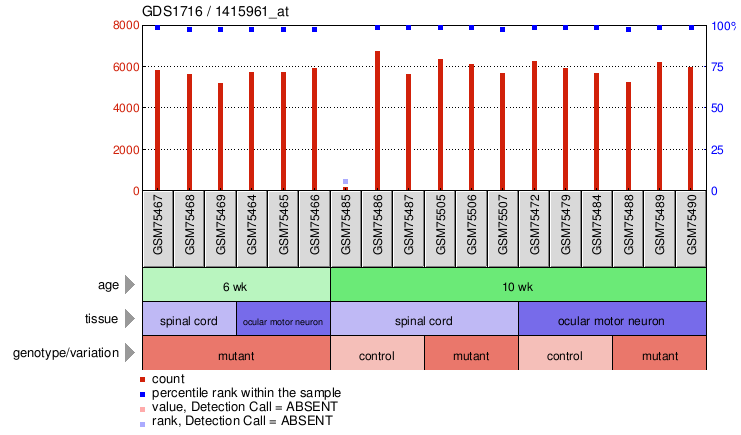 Gene Expression Profile