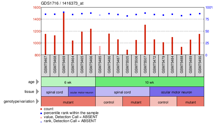 Gene Expression Profile