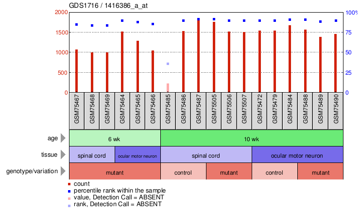 Gene Expression Profile